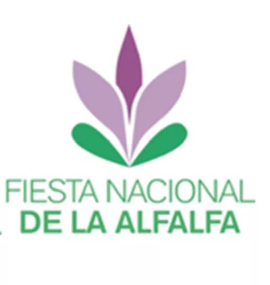 Screenshot_20220410-221402_Office