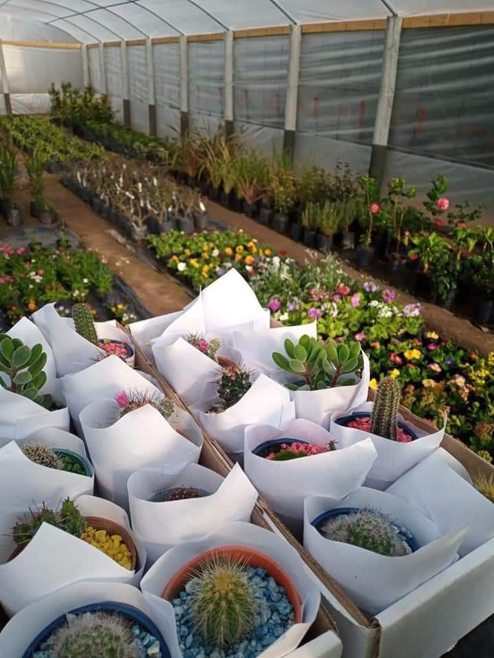 FB_IMG_1627235145485