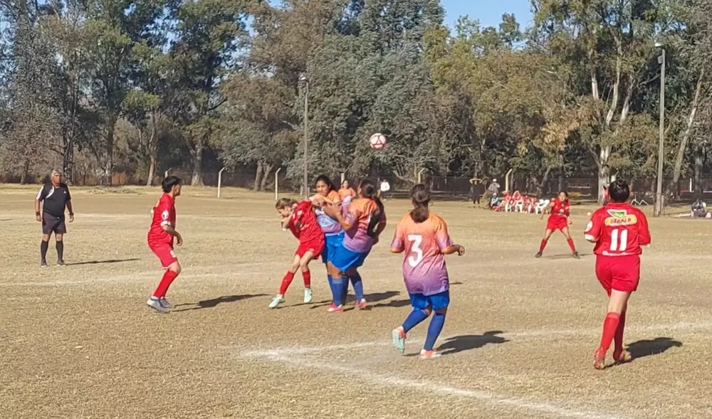 Screenshot_20220613-153746_Gallery