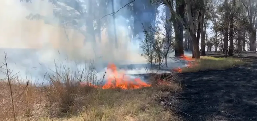 Screenshot_20230916_211053_Gallery