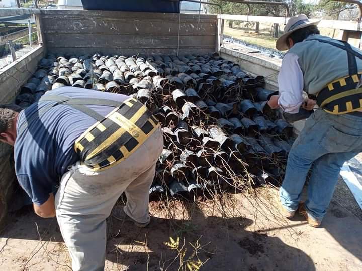 FB_IMG_1630248103554