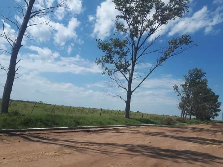 FB_IMG_1614619309898