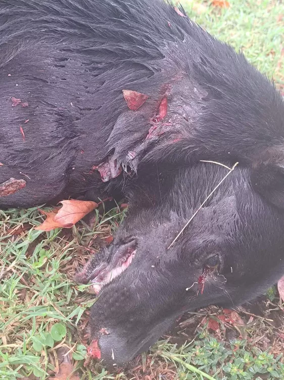 FB_IMG_1679929894689