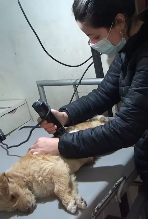 Screenshot_20220828-003442_Facebook