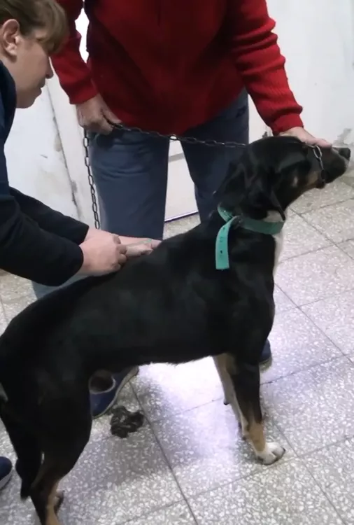 Screenshot_20220828-003430_Facebook