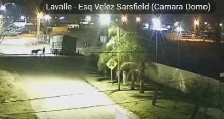 Screenshot_20240731_144248_Gallery