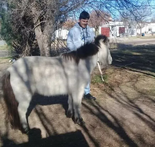 0c2278afe2fe4498b1fe3bccb1192417