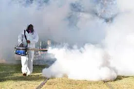 fumiga