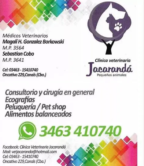 jacarandá