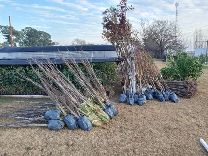 FB_IMG_1594054403478