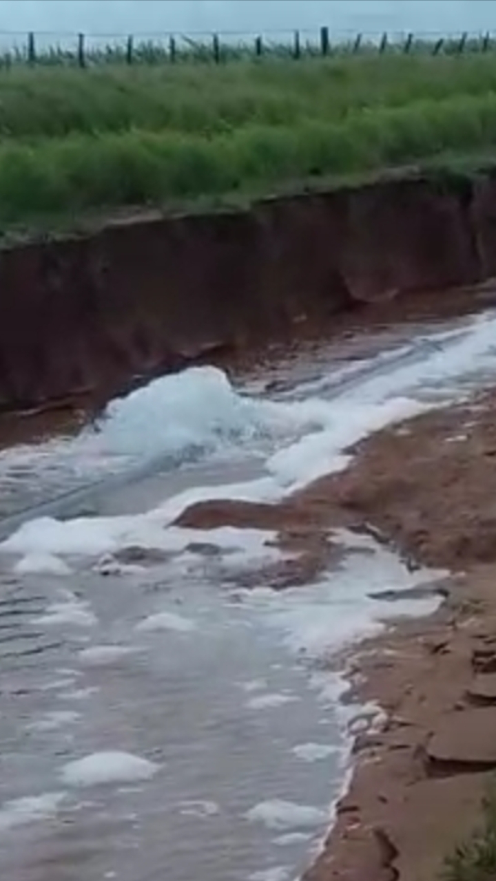 Screenshot_20200205-120756_Gallery