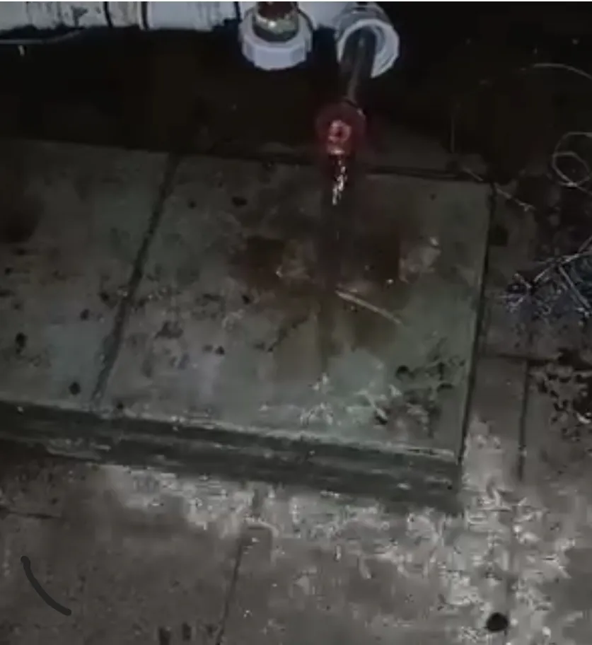 Screenshot_20231218_115420_Facebook