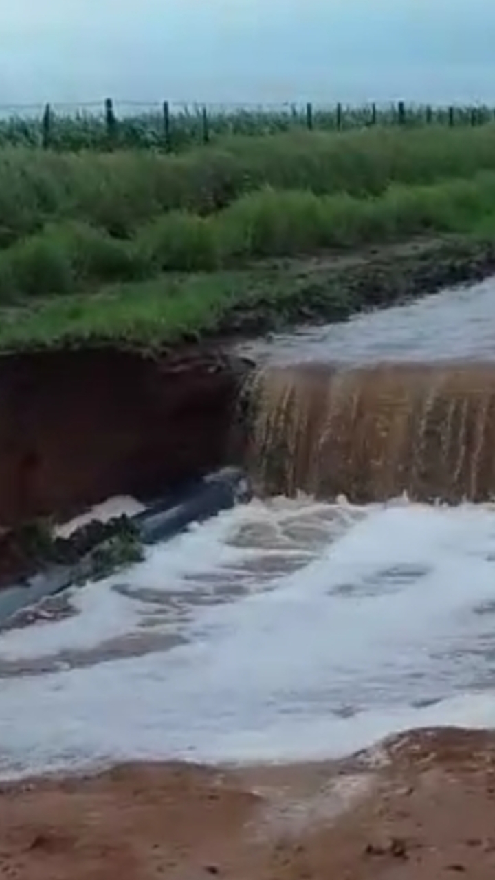 Screenshot_20200205-120744_Gallery