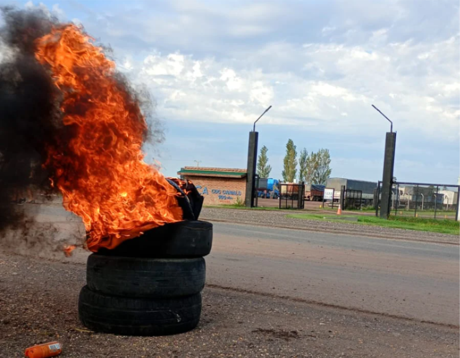 WhatsApp Image 2026-04-01 at 17.36.42