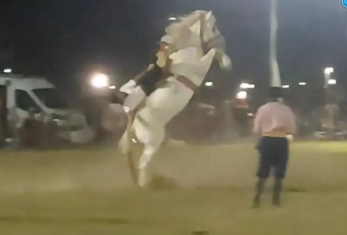 Screenshot_20260215_031745_Facebook