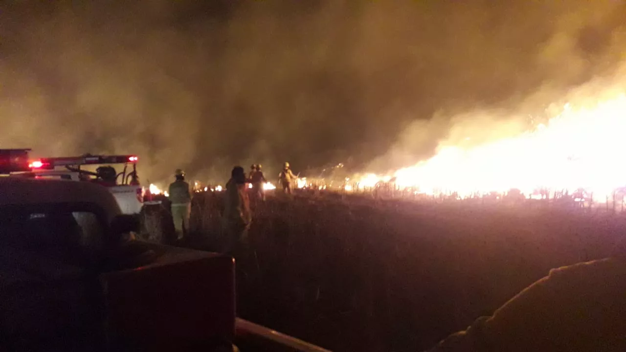 IMG-20220906-WA0198