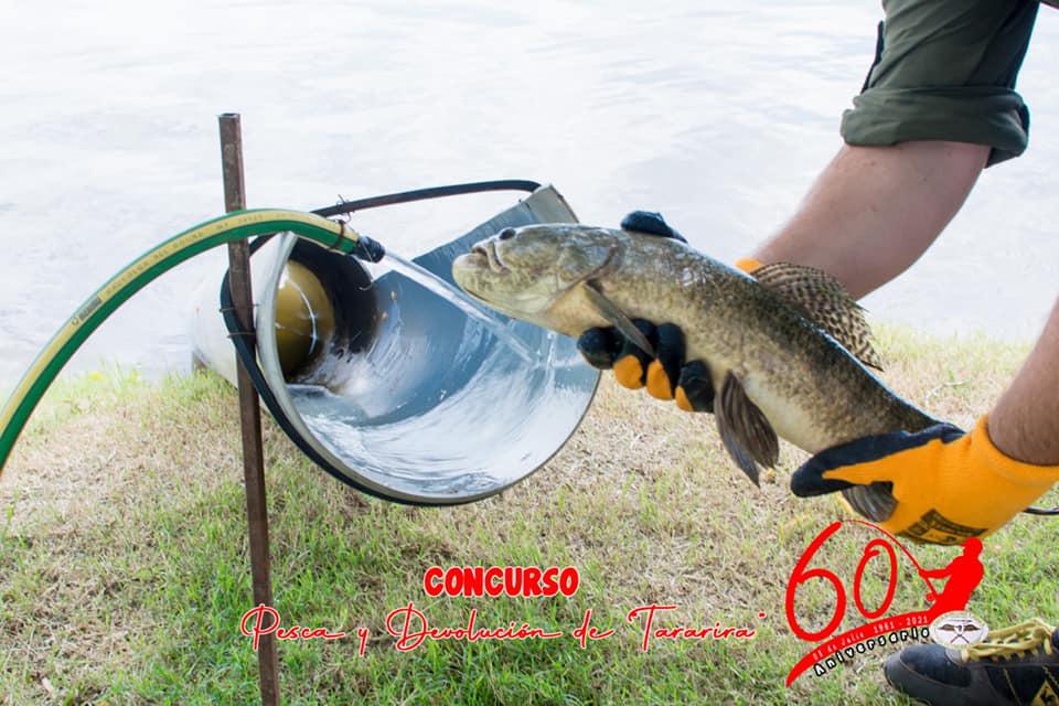 pesca dos