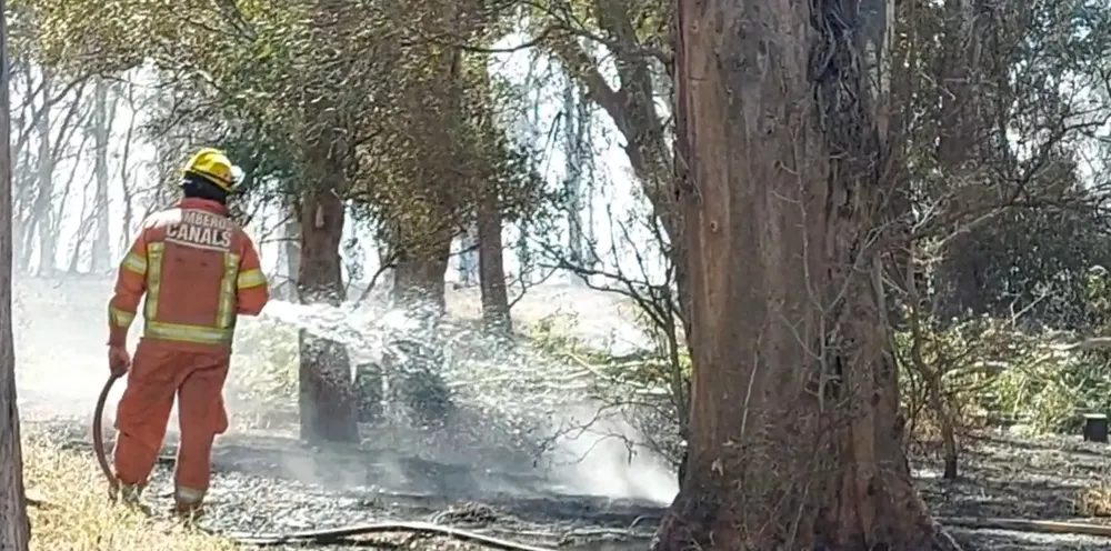 Screenshot_20230916_211011_Gallery