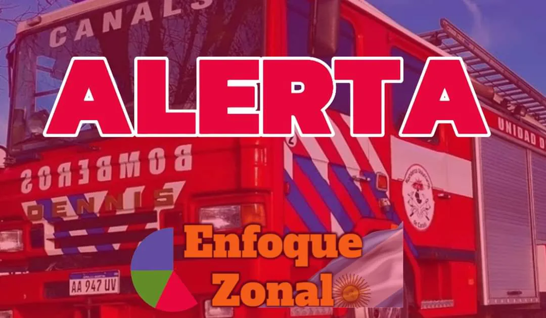 FB_IMG_1731550335255