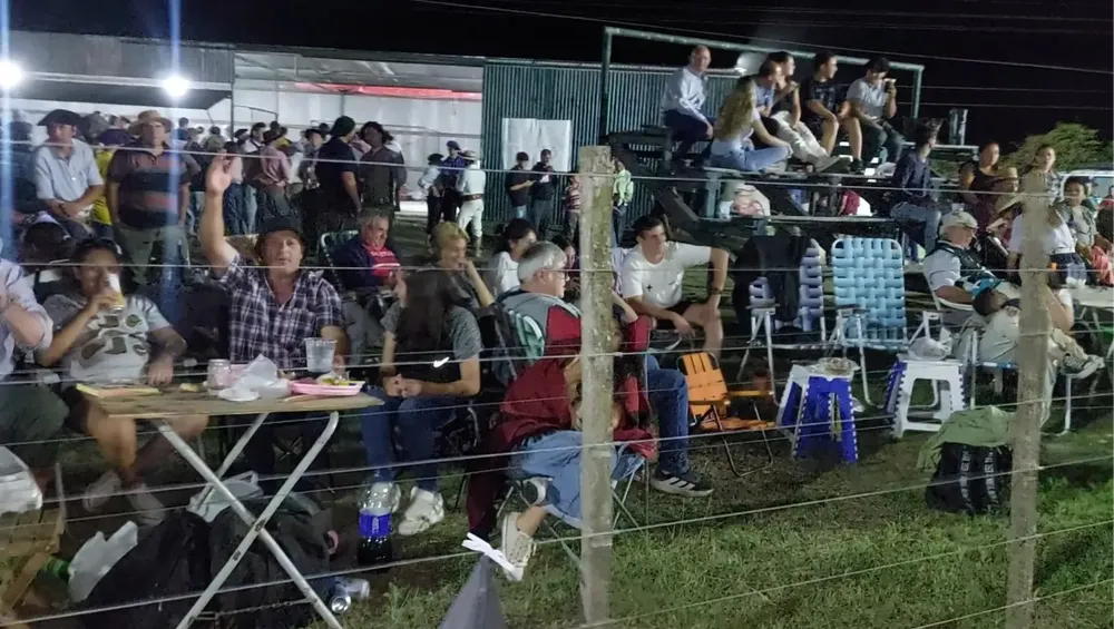 Screenshot_20260215_031924_Gallery