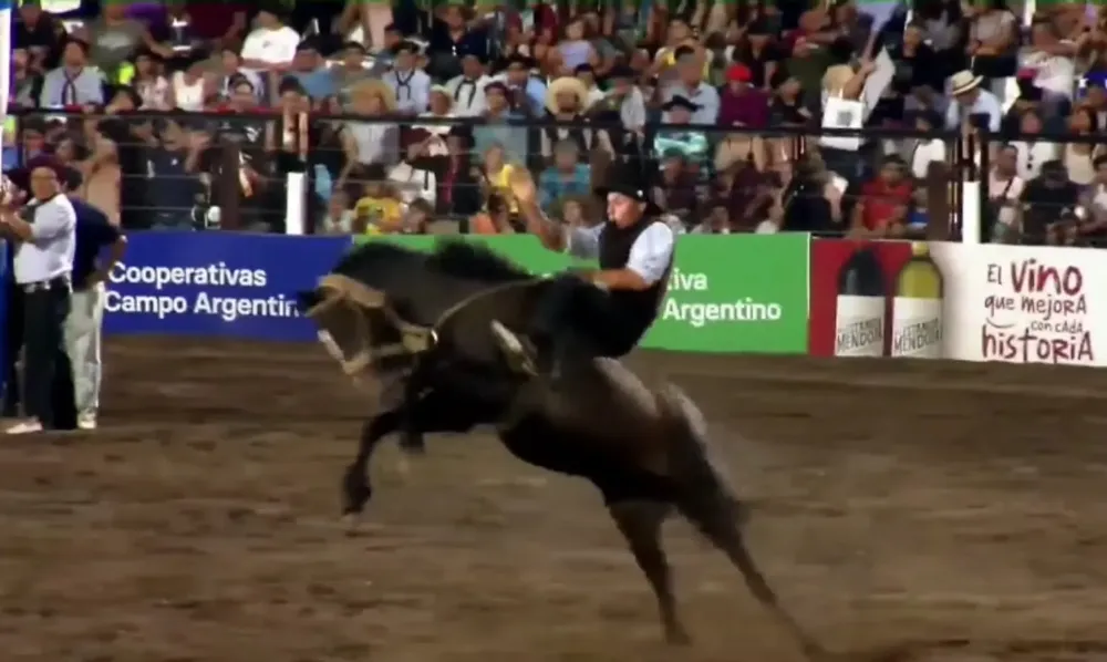 Screenshot_20250115_091000_Gallery