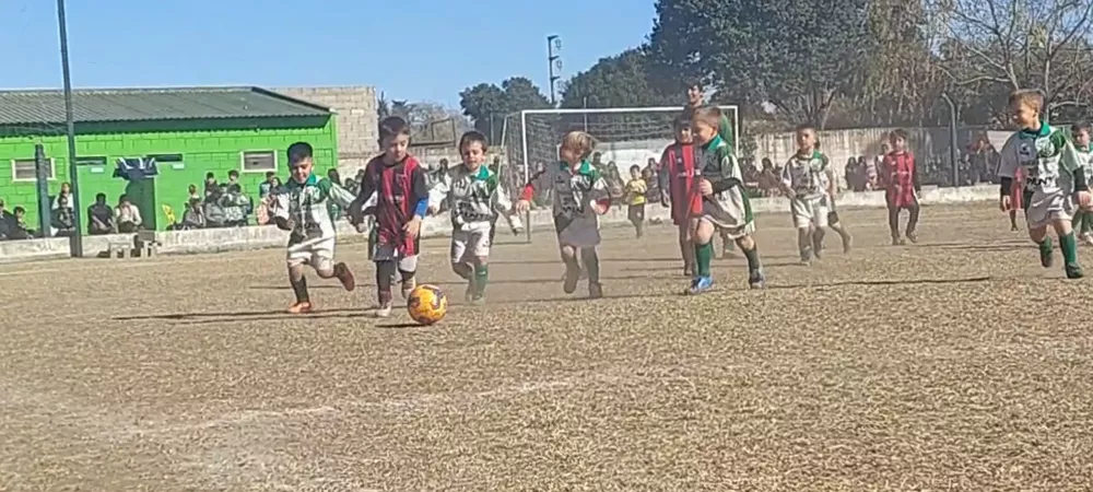 Screenshot_20220702-141404_Gallery