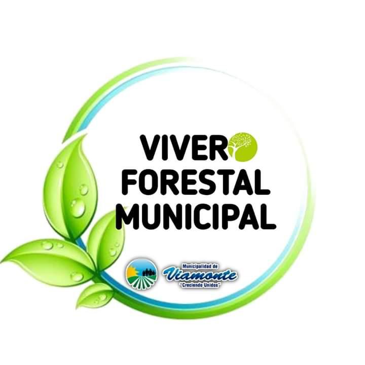 FB_IMG_1594054561635